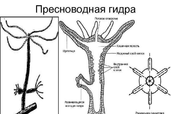 Кракен ссылка onion